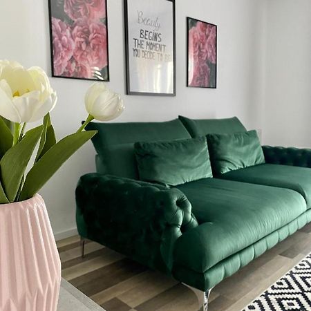 Velvet Studio Targu-Mures Bagian luar foto
