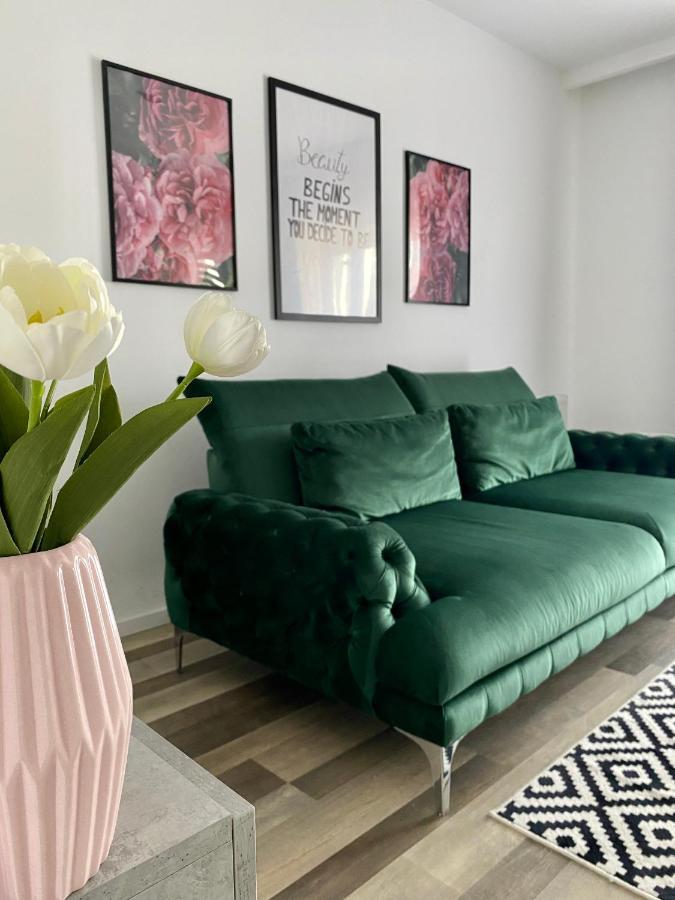 Velvet Studio Targu-Mures Bagian luar foto